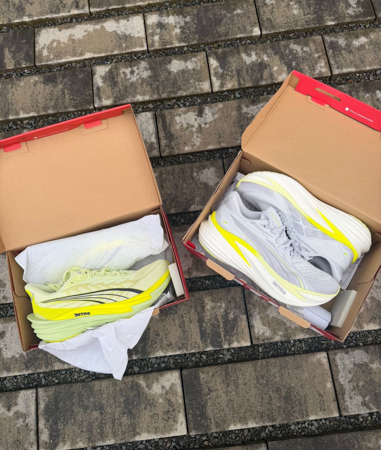 WhatsApp Image 2026-03-16 at 12.27.53 (3)